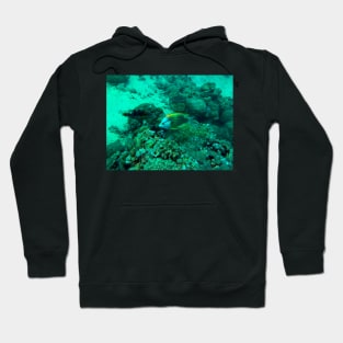 coral reef and fish - underwater Hoodie